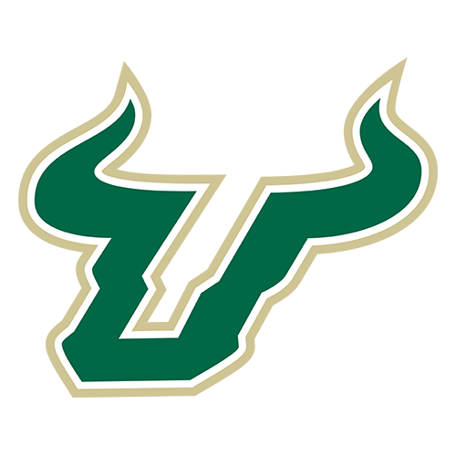 Bulls logo